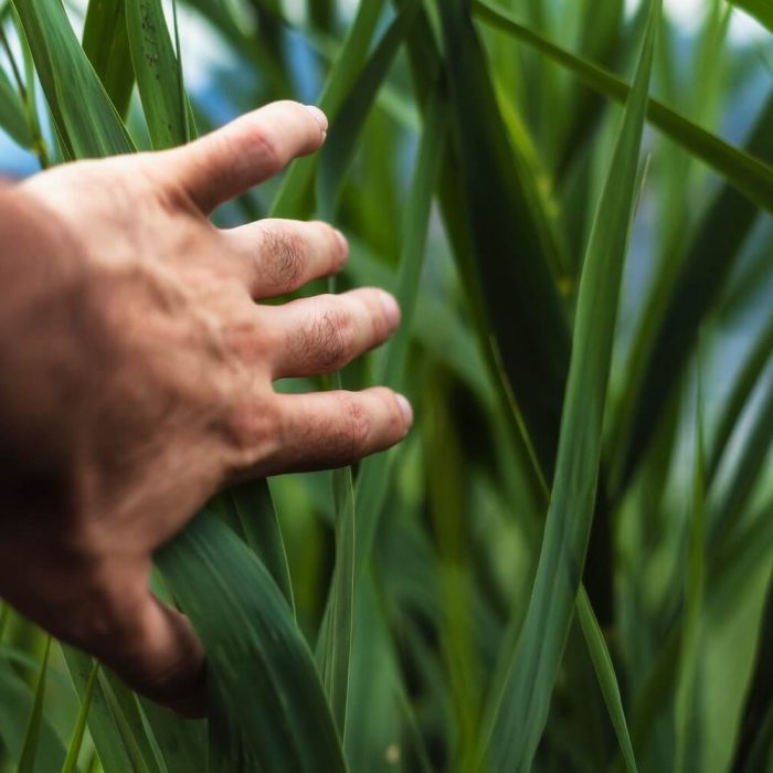 photo-1472133530746-ae9b21e91c41 photo-1472133530746-ae9b21e91c41